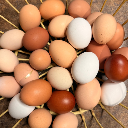 Farm Fresh Eggs